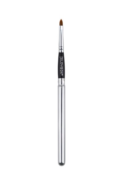 LIP BRUSH